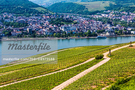 Fields with roads and vineyards at Rudesheim with the Rhine River in Germany