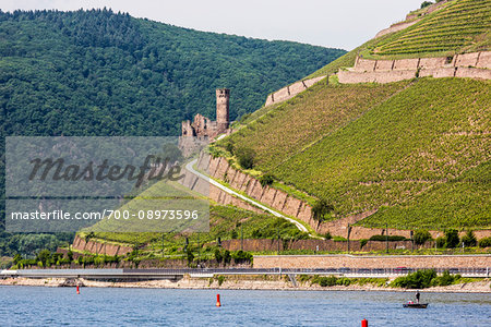 Ehrenfels Castle Ruin along the Rhine between Rudesheim and Koblenz, Germany Ehrenfels Castle Ruin along the Rhine between Rudesheim and Koblenz, Germany