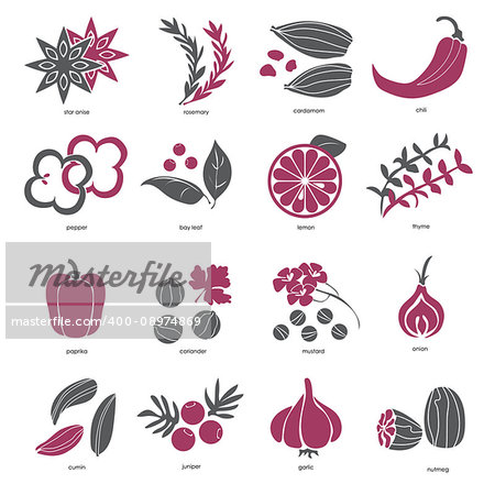 Web icon set - spices, condiments and herbs - vector