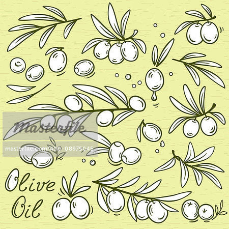 set of isolated graphic olive branches with fruit and oil drops