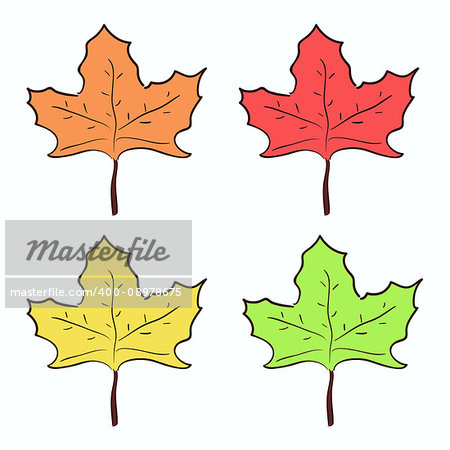 Cute colorful hand drawn maple leaves set