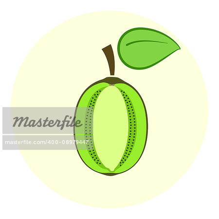 Half green kiwi vector icon, kiwi split in a half, cut fruit