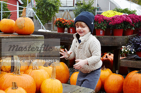 Boy selecting pumpkin in garden centre