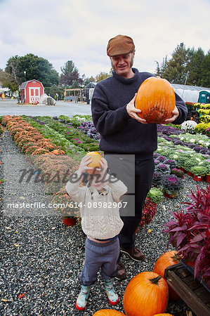 Portrait of boy and his father holding pumpkins at garden centre