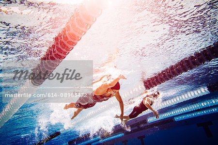 Swimmers doing freestyle in lane