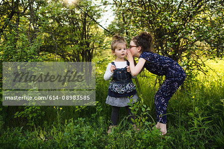 Girl whispering to little sister in field with trees