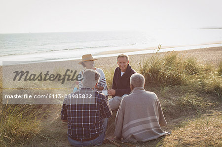 Mature couples relaxing on sunny beach