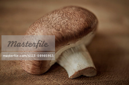 Still life close up fresh, organic, healthy brown mushroom, texture