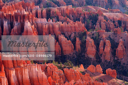 Overview of the Hoodoos of the Claron Formation at sunrise in Bryce Canyon National Park, Utah, USA