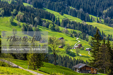 Overview of wooden houses on the mountain side village of Grindelwald in the Jungfrau Region in Bernese Oberland, Switzerland