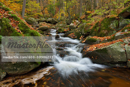 Water flowing in the Rriver Ilse with autumn leaves in the Ilse Valley along the Heinrich Heine Trail in Harz National Park, Harz, Germany