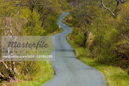 Single track road winding through the countryside in spring on the Isle of Skye in Scotland, United Kingdom