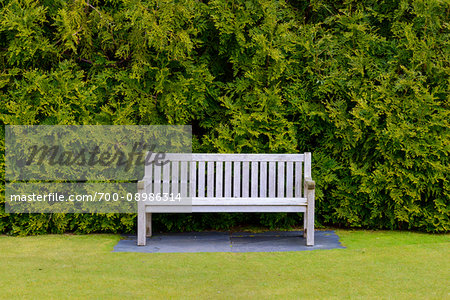 Park bench with shrubs and grass on the Isle of Skye on a sunny day in Scotland, United Kingdom Park bench with shrubs and grass on the Isle of Skye on a sunny day in Scotland, United Kingdom
