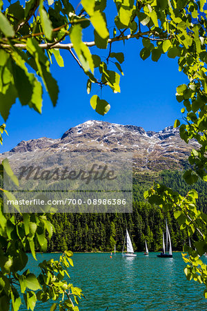 Sailing on Lake St Moritz with the Swiss Alps in the background on a sunny day at St Moritz, Switzerland Sailing on Lake St Moritz with the Swiss Alps in the background on a sunny day at St Moritz, Switzerland
