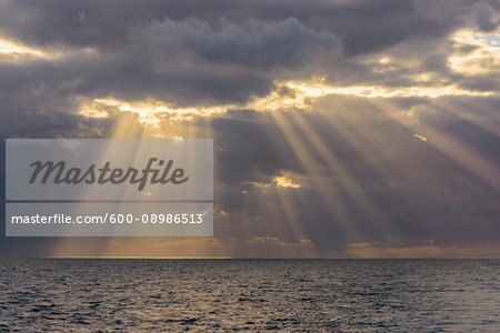 Crepuscular sunrays shining through the clouds over the North Sea, United Kingdom