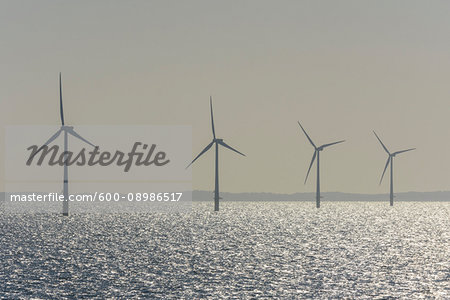 Offshore wind turbine farm with sun shining on the North Sea on a hazy morning, United Kingdom