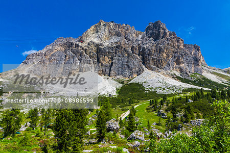 Grassy mountain side with the mountain tops of the Dolomites at the Falzarego Pass in the Province of Belluno, Italy