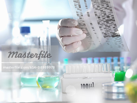 Scientist viewing a DNA gel during an experiment in the laboratory