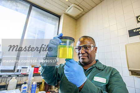 Lab technician looking at beaker of yellow biofuel in biofuel plant laboratory