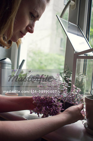 Cropped shot of woman tending potted plant on windowsill