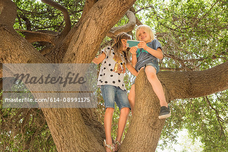 Children sitting in tree using smartphone