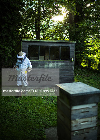 A beekeeper wearing protective clothing walking away from a shed towards a beehive.