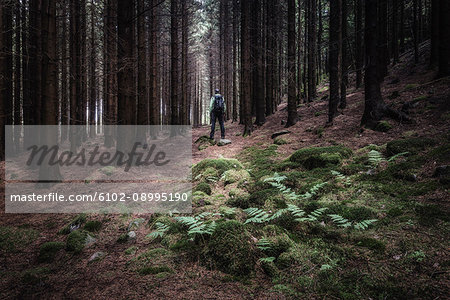 Person standing in forest