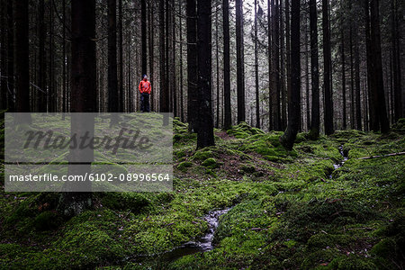 Hiker in forest