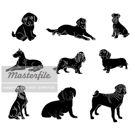 Vector dog breed silhouettes collection. Black dog icons collection isolated.