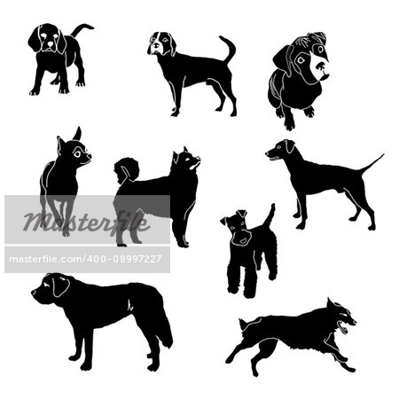 Vector dog breed silhouettes collection. Black dog icons collection isolated.