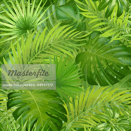 Tropical palm leaves, realistic jungle leaf seamless vector floral pattern background