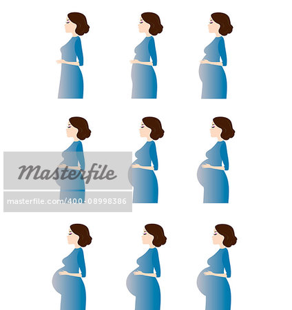 Vector illustration of pregnant female silhouettes. Changes in a woman s body in pregnancy. Pregnancy stages, trimesters and birth, pregnant woman and baby. Infographic elements