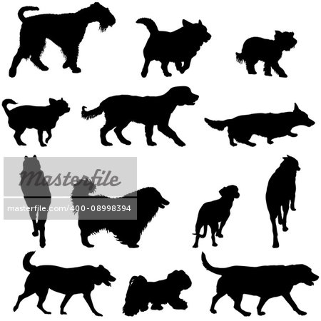 Set silhouette black domestic dog on a white background.