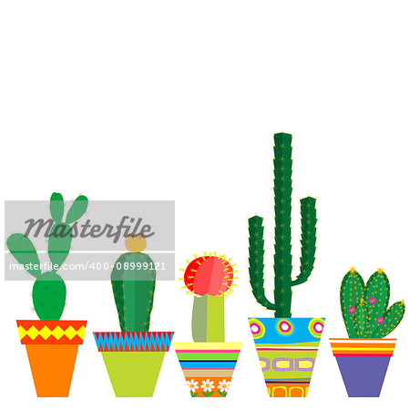 Mexico style pots with cactus flowers on white background