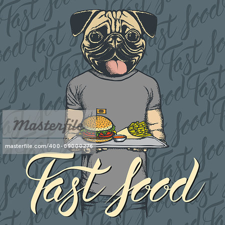 Fast food vector concept. Illustration of pug dog with burger and French fries