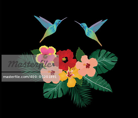 vector illustration of hummingbird and flowers