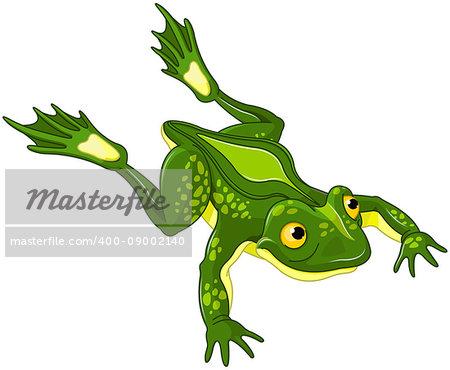 Illustration of very cute frog