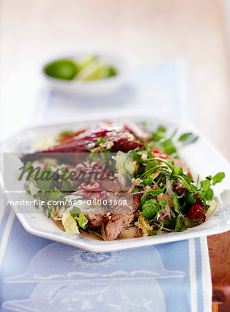 Plate of meat and salad