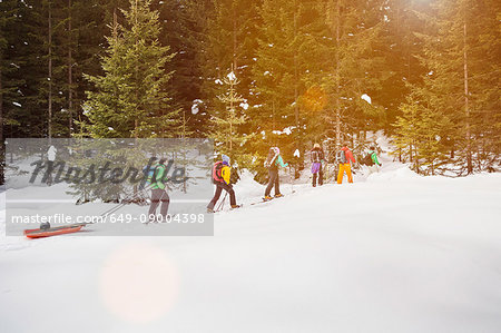 Cross country skiers