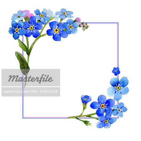 Wildflower myosotis arvensis flower frame in a watercolor style isolated. Full name of the plant: Myosotis arvensis. Aquarelle wild flower for background, texture, wrapper pattern, frame or border.