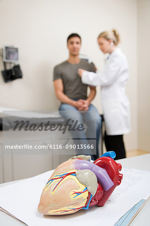 Model heart and patient being examined