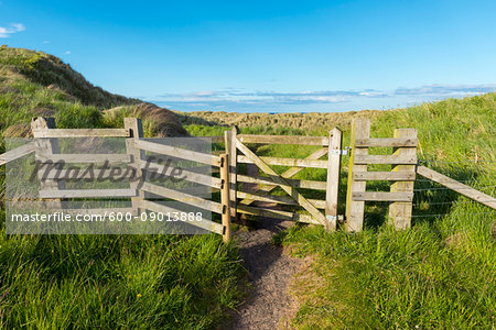 Willow fence with passage through the sand dunes in the village of Seahouses in Northumberland, England, United Kingdom