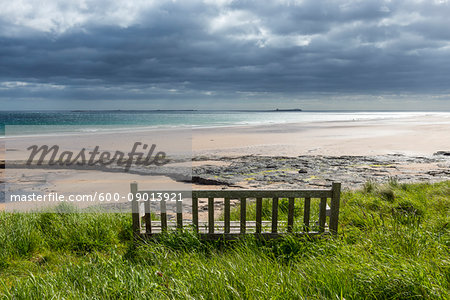 Wooden bench on the dune heath overlooking the beach and the North Sea at Bamburgh in Northumberland, England, United Kingdom Wooden bench on the dune heath overlooking the beach and the North Sea at Bamburgh in Northumberland, England, United Kingdom