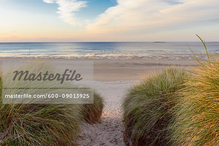 Path through sand dunes to the North Sea at dawn at Bamburgh in Northumberland, England, United Kingdom