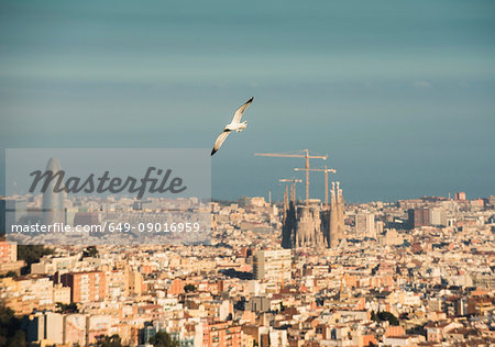 Cityscape view with flying gull and Sagrada Familia, Barcelona, Spain