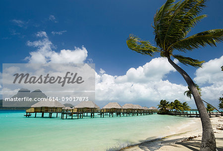 Palm trees and beach resort stilt houses, Bora Bora, French Polynesia