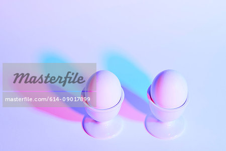 Two eggs in eggcups on purple background