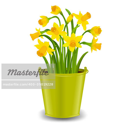 Narcissus In Pot With Gradient Mesh, Vector Illustration