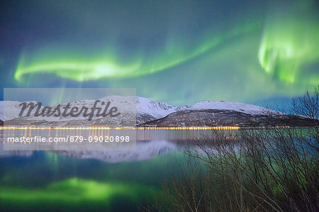 Northern Lights is reflected in Kafjorden. Kafjorden, Lyngen Alps, Troms, Norway, Lapland, Europe.