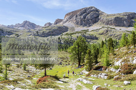 Italy,South Tyrol,Bolzano district,San Vigilio di Marebbe,The characteristics layers of Mount Sass da Bech